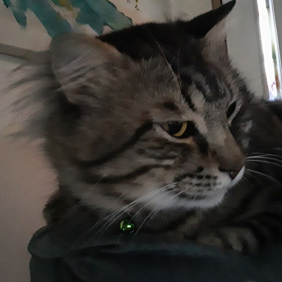 Meet your Posher, Jackie - Picture 1 of 1